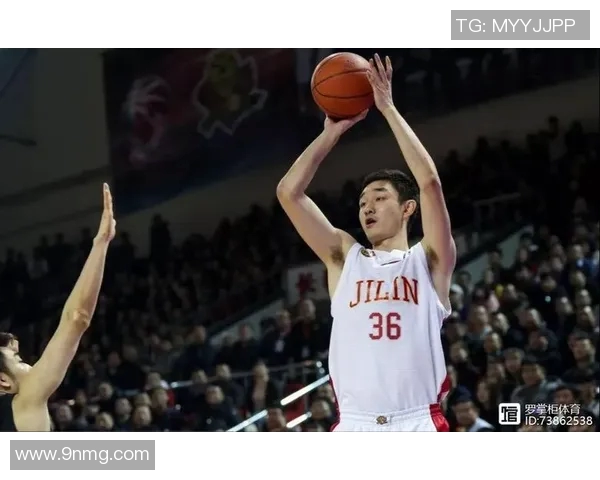 代怀博的成长之路与未来发展展望探讨